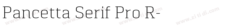 Pancetta Serif Pro R字体转换